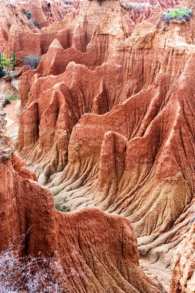 Pustynia Tatacoa Desierto Tatacoa Kolumbia — Zdjęcie stockowe