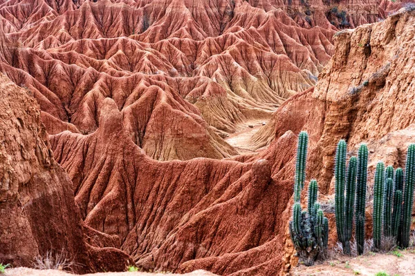 Pustynia Tatacoa Desierto Tatacoa Kolumbia — Zdjęcie stockowe