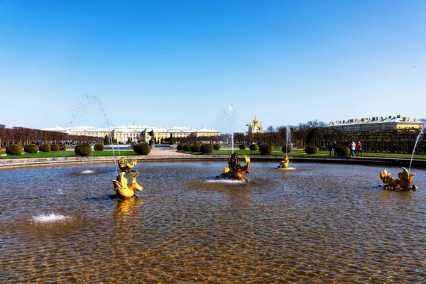 Peterhof Russia April 2019 Grand Palace Petergof Petersburg Russia Peterhof — Stock Photo, Image