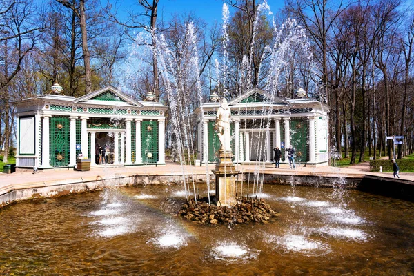 Saint Petersburg Rússia Abril 2019 Fonte Petergof Garden São Petersburgo — Fotografia de Stock