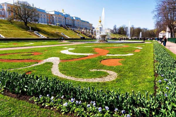 Peterhof Rusia Abril 2019 Gran Palacio Petergof San Petersburgo Rusia —  Fotos de Stock