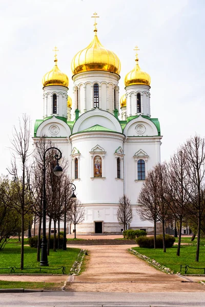 Muzey Khramov Sarskosel Skogo Blagochiniya Pushkin San Pietroburgo Russia Cattedrale — Foto Stock