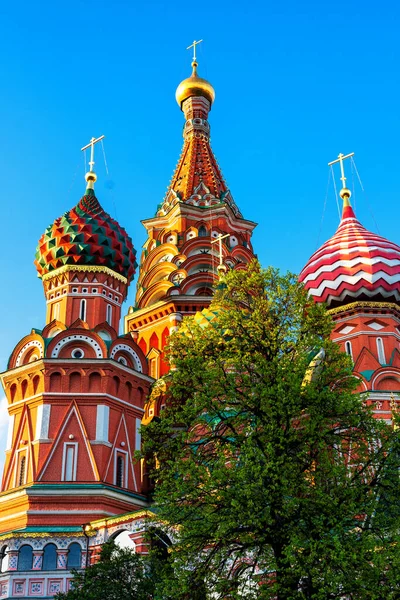 San Cattedrale Basilio Sulla Piazza Rossa Mosca Russia — Foto Stock