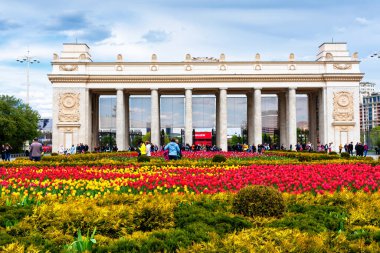MOSCOW, RUSSIA - 4 Mayıs 2019: Gorky belediye parkında güzel laleler çiçek açtı, Moskova, Rusya
