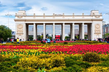 MOSCOW, RUSSIA - 4 Mayıs 2019: Gorky belediye parkında güzel laleler çiçek açtı, Moskova, Rusya