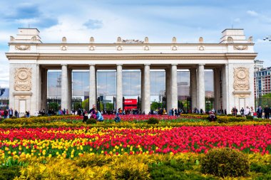 MOSCOW, RUSSIA - 4 Mayıs 2019: Gorky belediye parkında güzel laleler çiçek açtı, Moskova, Rusya