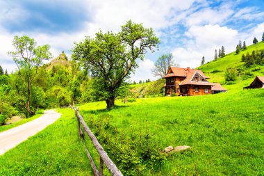 JAWORKI, POLAND - 2 Haziran 2019: Pieniny dağlarındaki eski, ahşap geleneksel ev, Polonya