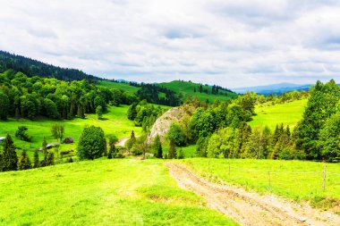 Polonya, Pieniny Ulusal Parkı 'nda bahar günü. Sıcak ve güneşli bir günde Polonya dağlarının manzarası