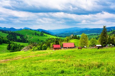 JAWORKI, POLAND - 2 Haziran 2019: Dağ manzarası arasında çoban kulübesi. Pieniny dağlarındaki çayırların ve ormanların manzarası. Karpat Dağları manzarası, Polonya