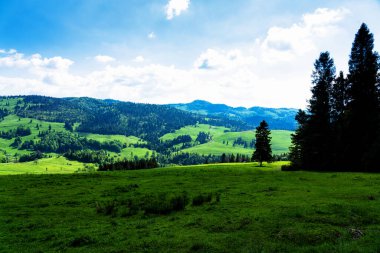 Polonya, Pieniny Ulusal Parkı 'nda bahar günü. Sıcak ve güneşli bir günde Polonya dağlarının manzarası