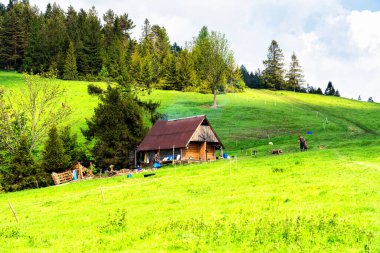JAWORKI, POLAND - 2 Haziran 2019: Dağ manzarası arasında çoban kulübesi. Pieniny dağlarındaki çayırların ve ormanların manzarası. Karpat Dağları manzarası, Polonya