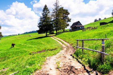 Ahşap çobanlara giden yol dağlardaki kulübeye, Pieniny, Polonya