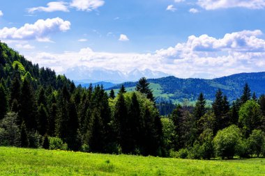 Polonya, Pieniny Ulusal Parkı 'nda bahar günü. Sıcak ve güneşli bir günde Polonya dağlarının manzarası