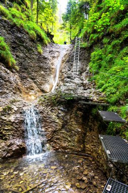 Slovak Paradise Ulusal Parkı, Slovakya. İzler nehir yatağında devrilen ağaçların ve kaldırılan merdivenlerin arasında.