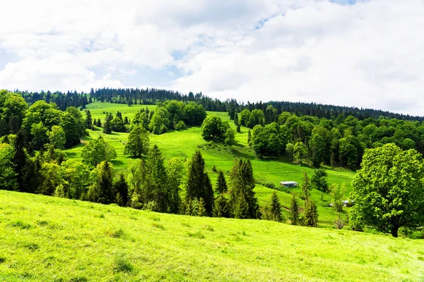 Primavera Parque Nacional Pieniny Polonia Paisaje Las Montañas Polacas Día —  Fotos de Stock