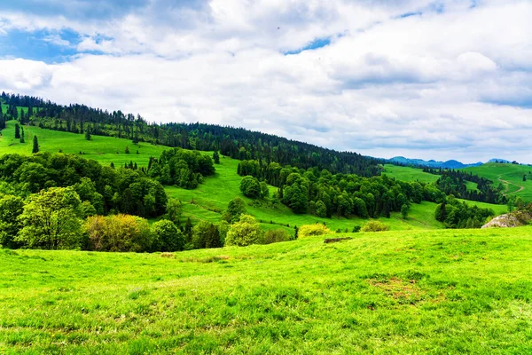 Tavaszi Nap Pieniny Nemzeti Parkban Lengyelországban Tájkép Lengyel Hegyek Egy — Stock Fotó