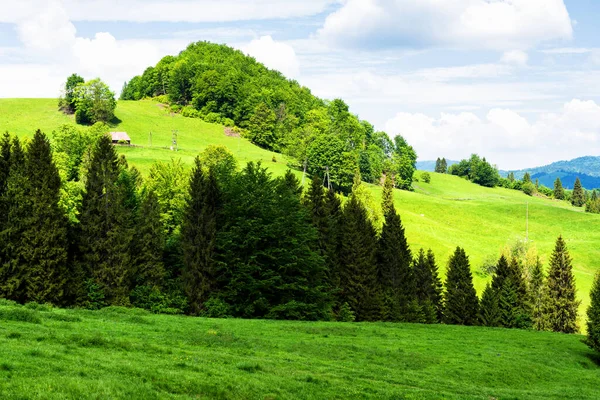 Tavaszi Nap Pieniny Nemzeti Parkban Lengyelországban Tájkép Lengyel Hegyek Egy — Stock Fotó