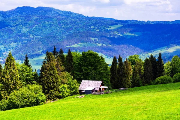 Paisagem Montanhas Panorama Pastagens Floresta Pieniny Montanhas Paisagem Das Montanhas — Fotografia de Stock