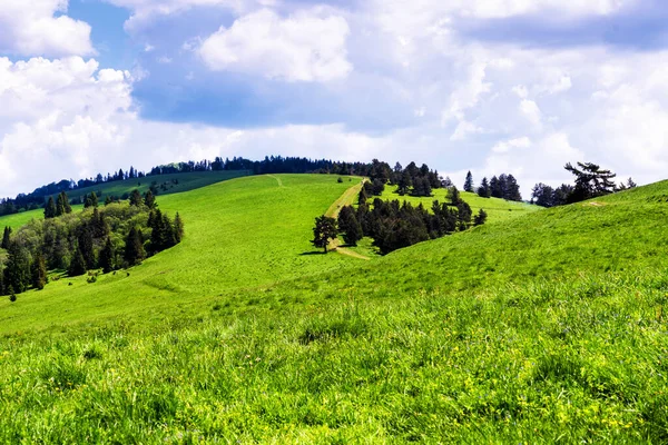 Primavera Parque Nacional Pieniny Polonia Paisaje Las Montañas Polacas Día —  Fotos de Stock