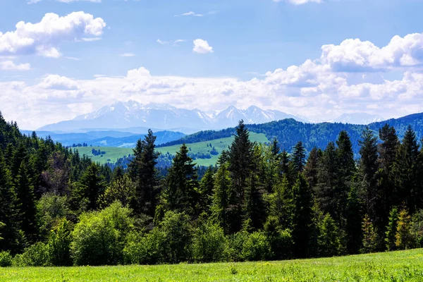 Primavera Parque Nacional Pieniny Polonia Paisaje Las Montañas Polacas Día —  Fotos de Stock