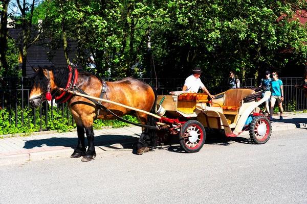 Szczawnica Polônia Junho 2019 Transporte Com Cavalos Szczawnica Polônia Pieniny — Fotografia de Stock