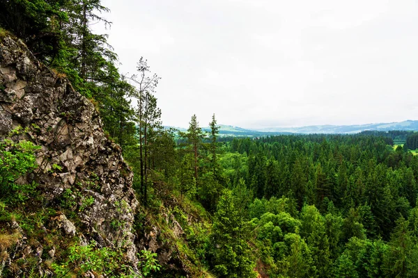 Bialka Schlucht Kleinpolen — Stockfoto