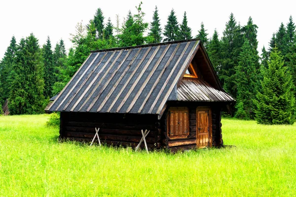 Cabane Berger Dans Parc National Des Monts Tatra Polonais Les — Photo