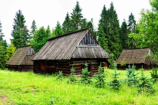 Shepherd Hut Het Poolse Tatra Mountains National Park Hutten Worden — Stockfoto