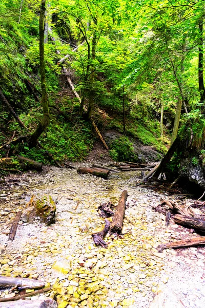 Slovak Paradise National Park Eslováquia Trilha Vai Leito Rio Entre — Fotografia de Stock