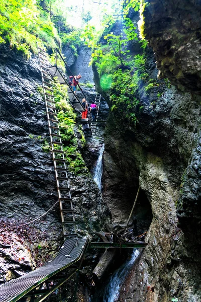 Slovakiska Paradise National Park Slovakien Stigen Går Flodbädd Bland Fallna — Stockfoto