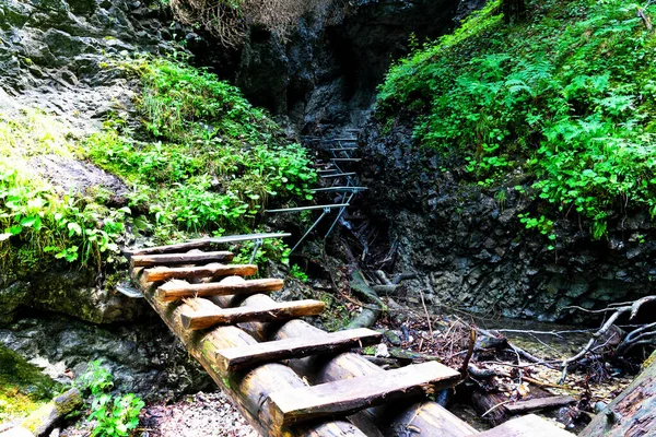 Nationalpark Slowakisches Paradies Slowakei Der Weg Führt Über Flussbett Zwischen — Stockfoto