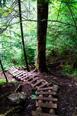 Slovak Cennet Ulusal Parkı 'ndaki Sucha Bela Kanyonu' na tahta adımlar Slovakya 'daki Slovak Ore Dağları' nın kuzey kesimindeki