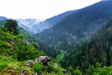 Slovakya 'daki Slovak Paradise Ulusal Parkı' ndan manzara