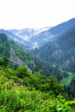 Slovakya 'daki Slovak Paradise Ulusal Parkı' ndan manzara