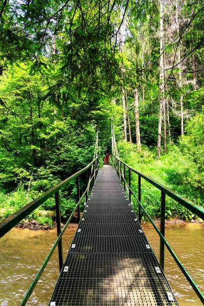 Prielom Hornadu Hornad Gorge Slovensky Raj Slovak Paradise Eslováquia Cárpatos — Fotografia de Stock