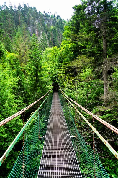 Prielom Hornadu Hornad Gorge Slovensky Raj Slovak Paradise Eslováquia Cárpatos — Fotografia de Stock