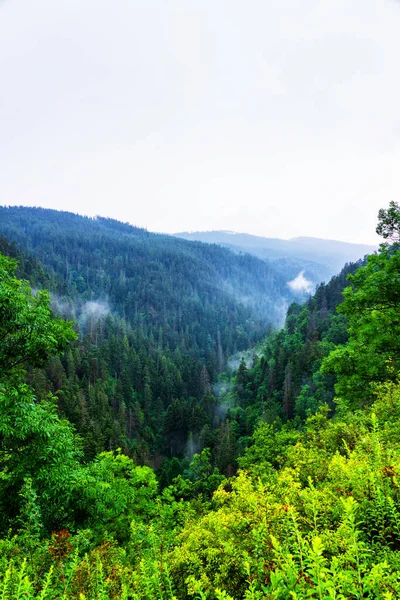 Malerische Aussicht Von Einem Pfad Nationalpark Slowakisches Paradies Slowakei — Stockfoto