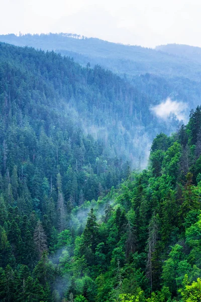 Slovakya 'daki Slovak Paradise Ulusal Parkı' ndan manzara