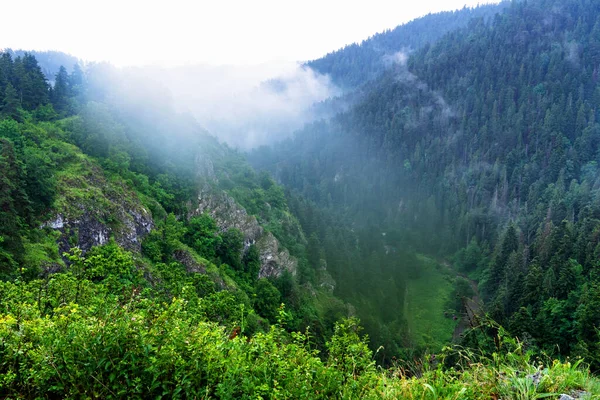 Vista Panorâmica Uma Trilha Parque Nacional Slovak Paradise Eslováquia — Fotografia de Stock