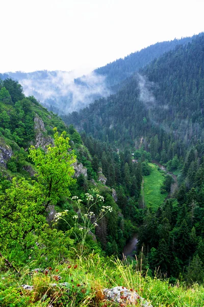 Szcenírozott Kilátás Egy Ösvényről Szlovák Paradicsom Nemzeti Park Szlovákia — Stock Fotó