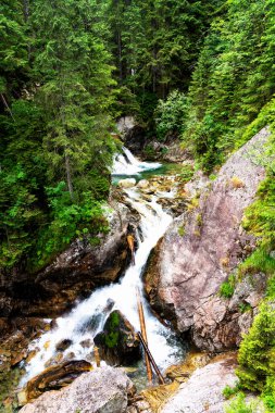 Tatra Dağları, Polonya 'daki Şelale Wodogrzmoty Mickiewicza