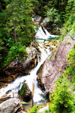 Tatra Dağları, Polonya 'daki Şelale Wodogrzmoty Mickiewicza