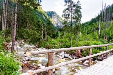 Yüksek Tatras Dağları, Preov Bölgesi 'nde Slovakya sınırı boyunca ve Polonya' nın güneyinde Polonya 'nın daha küçük Voyvoda bölgesidir..