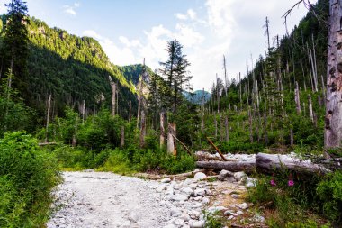 Yüksek Tatras Dağları, Preov Bölgesi 'nde Slovakya sınırı boyunca uzanan ve Polonya' nın güneyinde bulunan bir dağ silsilesidir..