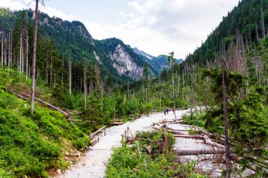Yüksek Tatras Dağları, Preov Bölgesi 'nde Slovakya sınırı boyunca ve Polonya' nın güneyinde Polonya 'nın daha küçük Voyvoda bölgesidir..