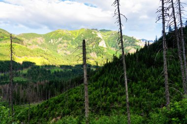 Yüksek Tatras Dağları, Preov Bölgesi 'nde Slovakya sınırı boyunca ve Polonya' nın güneyinde Polonya 'nın daha küçük Voyvoda bölgesidir..