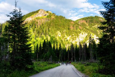 Yüksek Tatras Dağları, Preov Bölgesi 'nde Slovakya sınırı boyunca ve Polonya' nın güneyinde Polonya 'nın daha küçük Voyvoda bölgesidir..