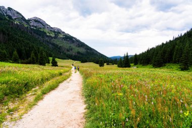 Yüksek Tatras Dağları, Preov Bölgesi 'nde Slovakya sınırı boyunca ve Polonya' nın güneyinde Polonya 'nın daha küçük Voyvoda bölgesidir..
