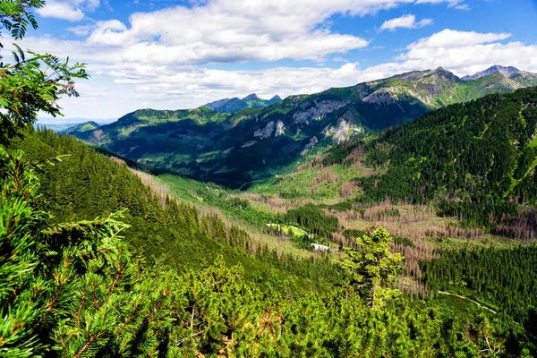 Tatry Wysokie Pasmo Górskie Granicy Słowacji Województwie Preowskim Południowa Polska — Zdjęcie stockowe