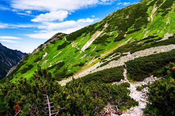 Tatry Wysokie Pasmo Górskie Granicy Słowacji Województwie Preowskim Południowa Polska — Zdjęcie stockowe